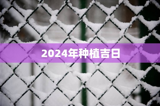 2025年种植吉日