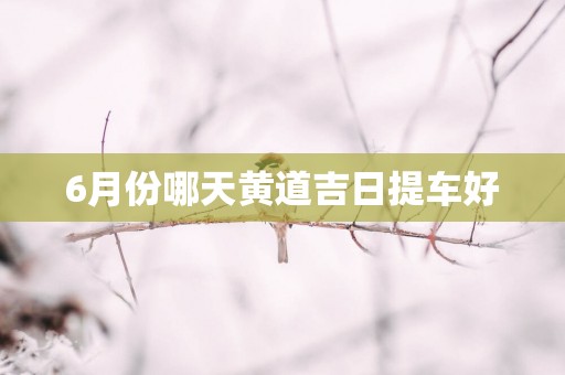 6月份哪天黄道吉日提车好