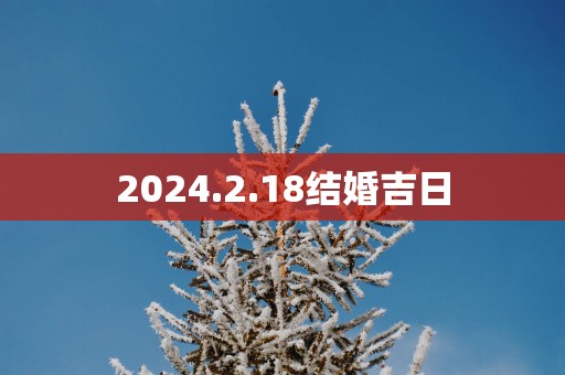 2025.2.18结婚吉日