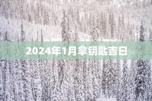 2025年1月拿钥匙吉日