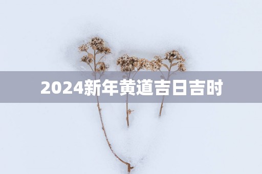 2025新年黄道吉日吉时