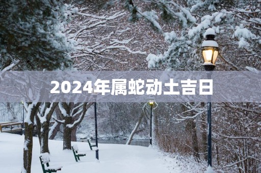 2025年属蛇动土吉日