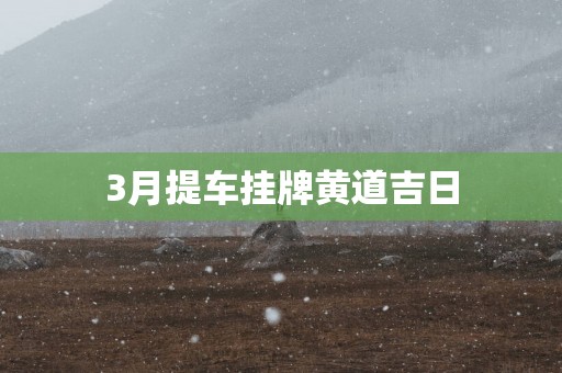 3月提车挂牌黄道吉日