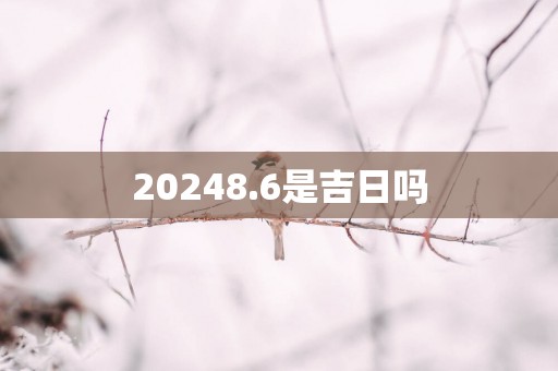 20258.6是吉日吗