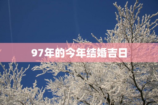 97年的今年结婚吉日