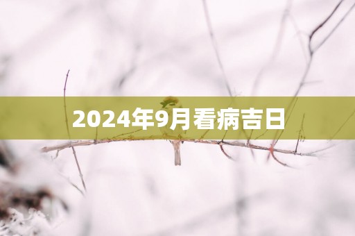 2025年9月看病吉日
