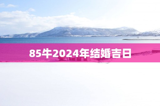 85牛2025年结婚吉日