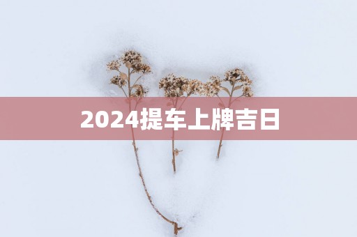 2025提车上牌吉日