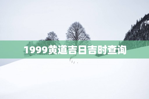 1999黄道吉日吉时查询