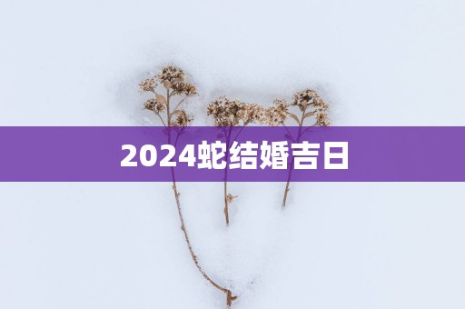 2025蛇结婚吉日