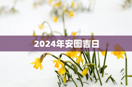 2025年安图吉日