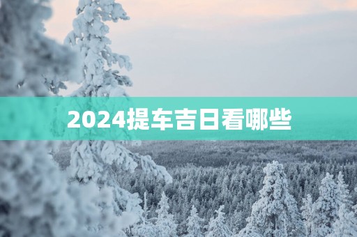 2025提车吉日看哪些