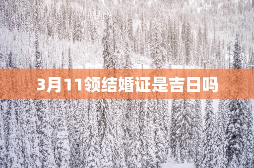 3月11领结婚证是吉日吗