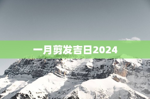 一月剪发吉日2025