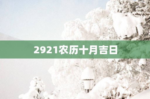 2921农历十月吉日