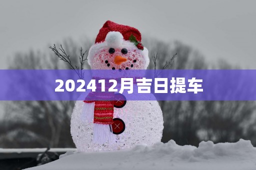 202512月吉日提车