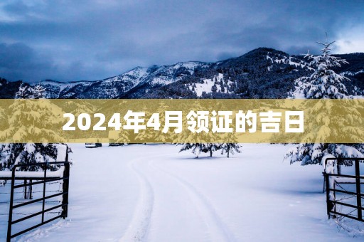 2025年4月领证的吉日