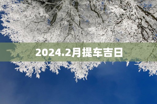 2025.2月提车吉日
