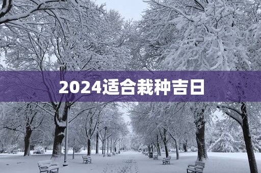 2025适合栽种吉日