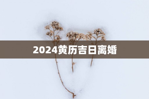 2025黄历吉日离婚