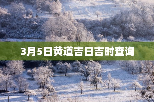 3月5日黄道吉日吉时查询