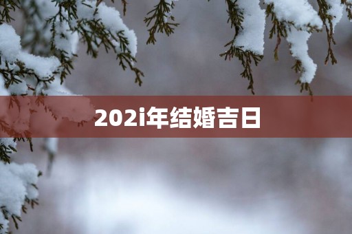 202i年结婚吉日