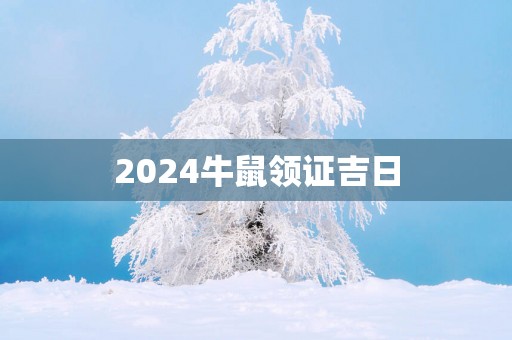 2025牛鼠领证吉日