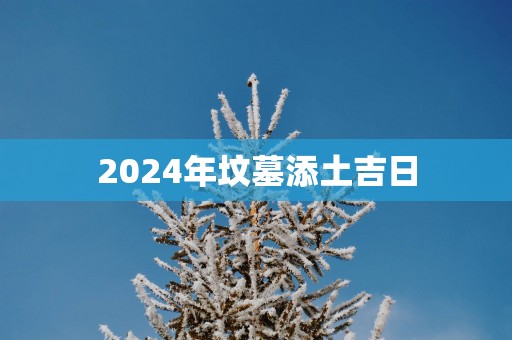 2025年坟墓添土吉日
