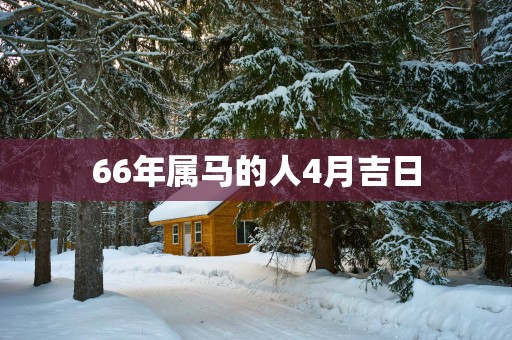 66年属马的人4月吉日