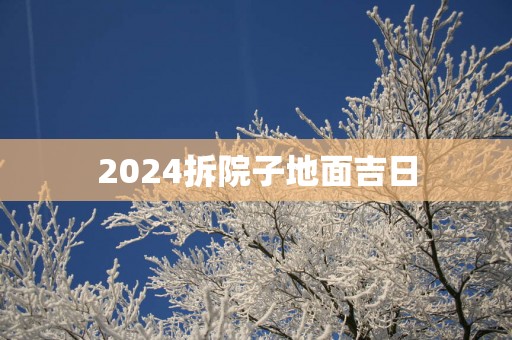 2025拆院子地面吉日