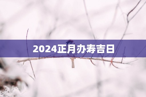 2025正月办寿吉日