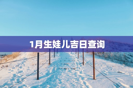 1月生娃儿吉日查询