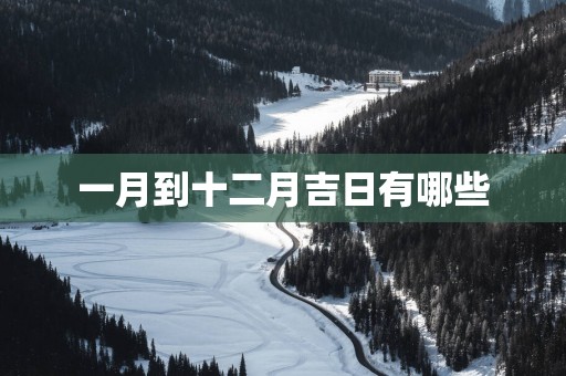 一月到十二月吉日有哪些