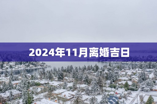 2025年11月离婚吉日
