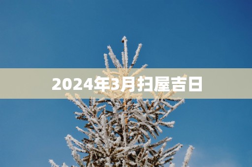 2025年3月扫屋吉日