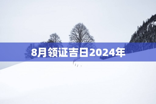 8月领证吉日2025年