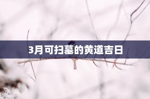 3月可扫墓的黄道吉日