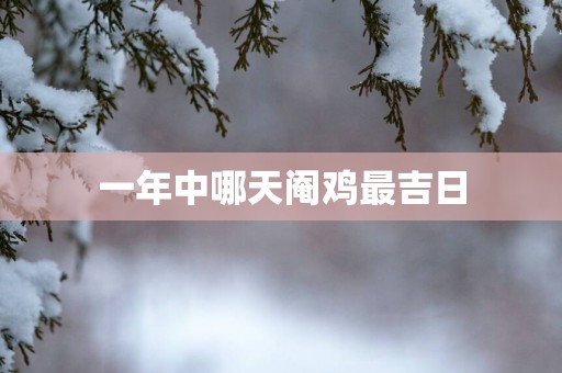 一年中哪天阉鸡最吉日