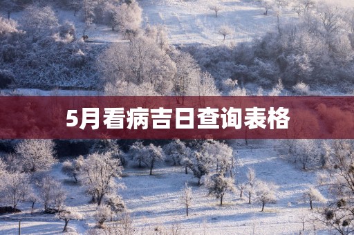 5月看病吉日查询表格