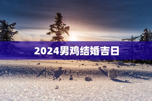 2025男鸡结婚吉日