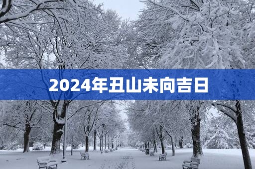 2025年丑山未向吉日