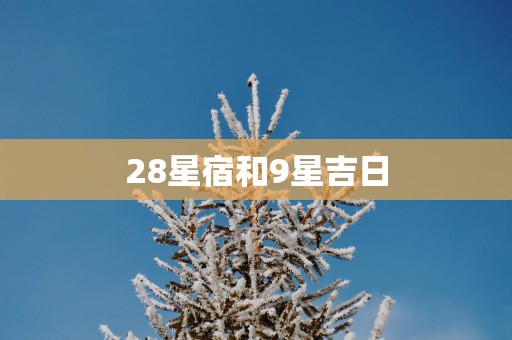 28星宿和9星吉日