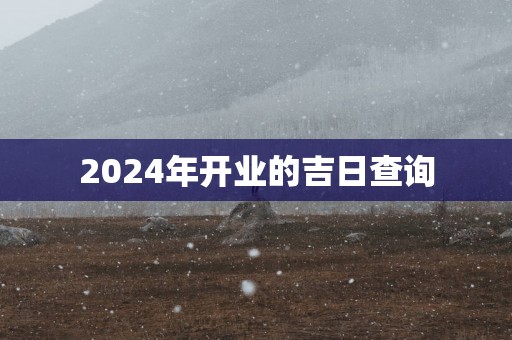 2025年开业的吉日查询