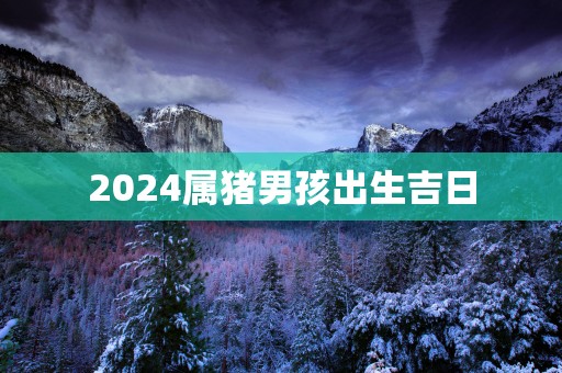 2025属猪男孩出生吉日