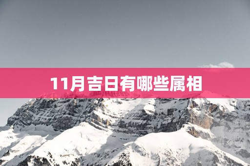 11月吉日有哪些属相