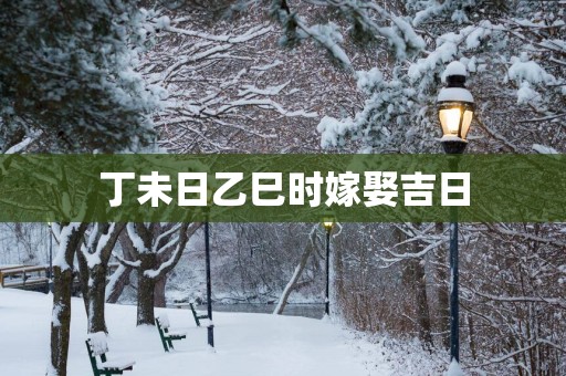 丁未日乙巳时嫁娶吉日