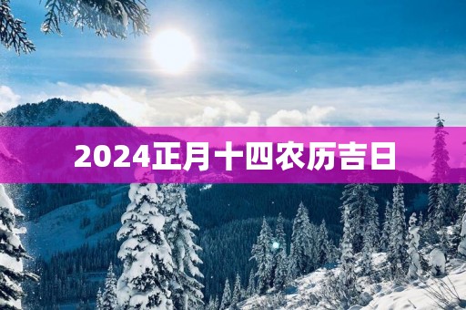 2025正月十四农历吉日