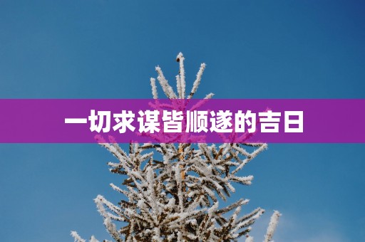 一切求谋皆顺遂的吉日