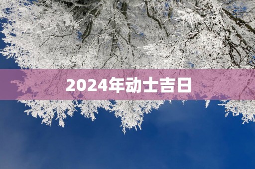 2025年动士吉日