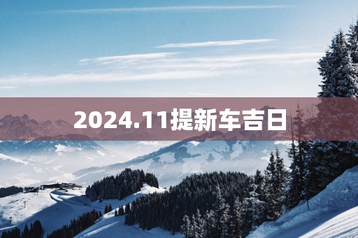 2025.11提新车吉日